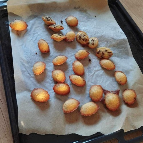 Recette Madeleines au miel et autres recettes Chefclub daily