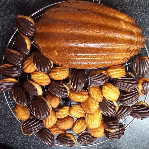 Mini madeleines coque en chocolat noir and other Chefclub US recipes daily