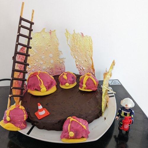 Gâteau de pompier Sam le pompier pour adulte et pour enfant vegan et sans  gluten