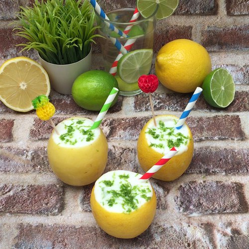 Snow Globe Gin & Tonic Recipe – Ficks Beverage Co