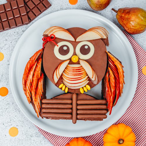 Owl Cut Up Cake - Vintage Kitty