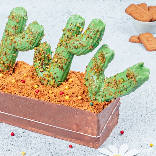 La jardinière de cactus churros