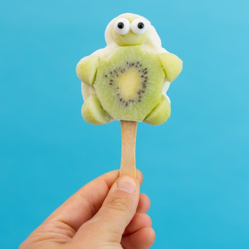 Fruity Yogurt Turtle Bites
