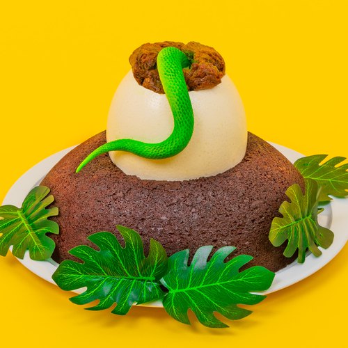 Beautiful animal, plant and nature cakes, by BBC Wildlife readers -  Discover Wildlife