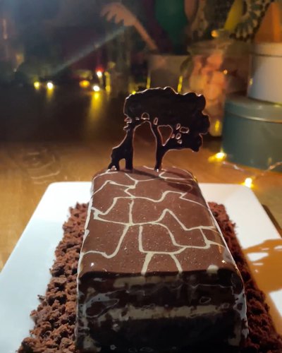 The Savanna Mirror Cake