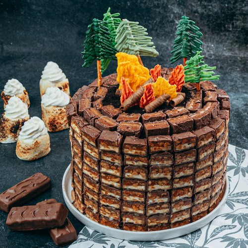 Campfire Cake - Mel and Boys Kitchen