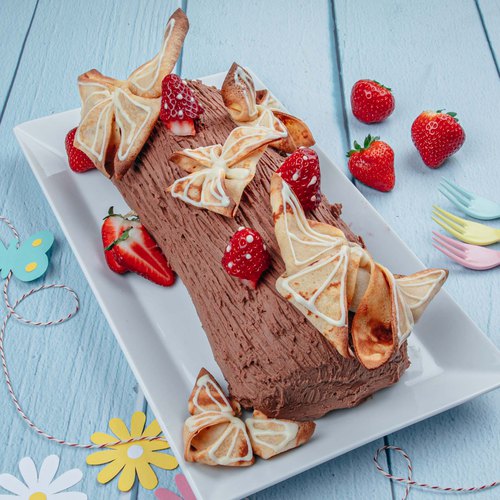Chocolate Butterfly Log