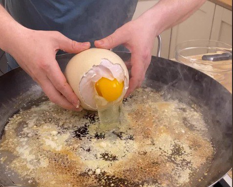 cooked ostrich egg